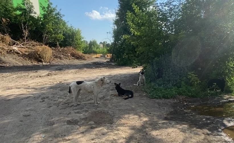 xezB_t3udYgEYMZq_UNd5b4ywnLwUqRiWALTPDxIdTsn1r-lETj3jcQX6OVJ_wzPurwXto8i2grOQP0XCYk0vFDJ.jpg xezB_t3udYgEYMZq_UNd5b4ywnLwUqRiWALTPDxIdTsn1r-lETj3jcQX6OVJ_wzPurwXto8i2grOQP0XCYk0vFDJ.jpg