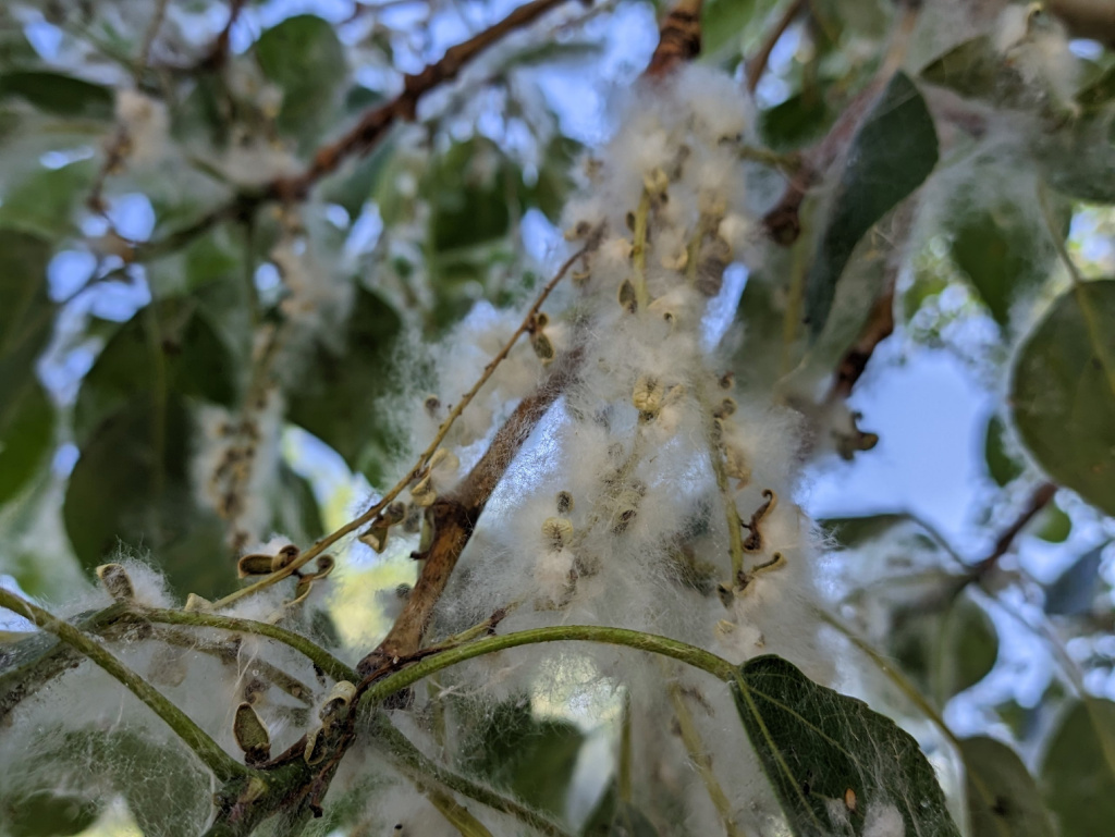 DXCBPMQ_Rj4.jpg DXCBPMQ_Rj4.jpg