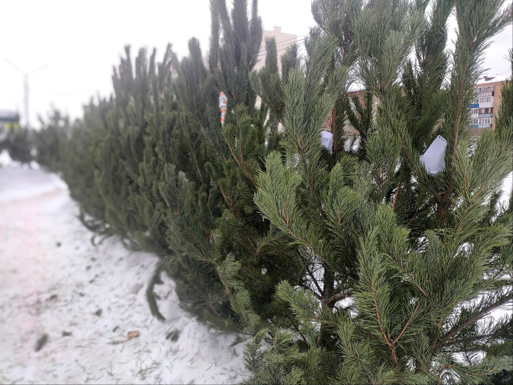 hJ2yvDAGObnq5Te3a-vgDu-3f10vbQ-GxKg08rc2wtt2BFIqpRZmJ0Yyl0pdsBEjPQSPHqbIIvJdvO8ni-QuhEvm.jpg hJ2yvDAGObnq5Te3a-vgDu-3f10vbQ-GxKg08rc2wtt2BFIqpRZmJ0Yyl0pdsBEjPQSPHqbIIvJdvO8ni-QuhEvm.jpg