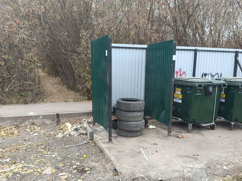 IMG_20251027_083230.jpg IMG_20251027_083230.jpg