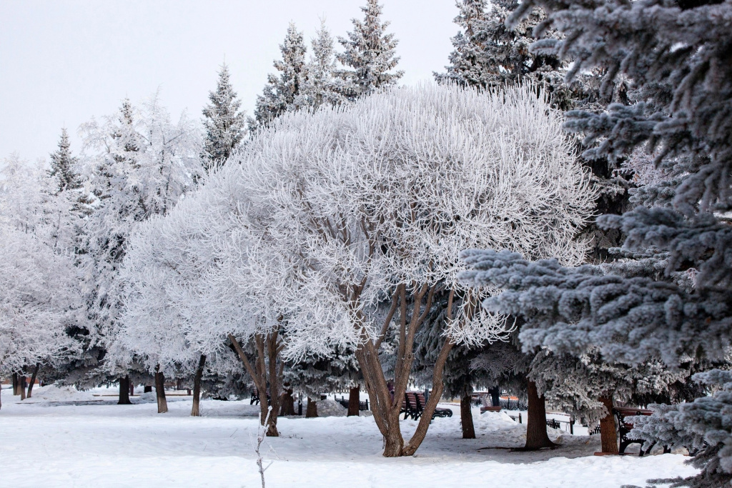 w9Z3iZXgxcs.jpg w9Z3iZXgxcs.jpg