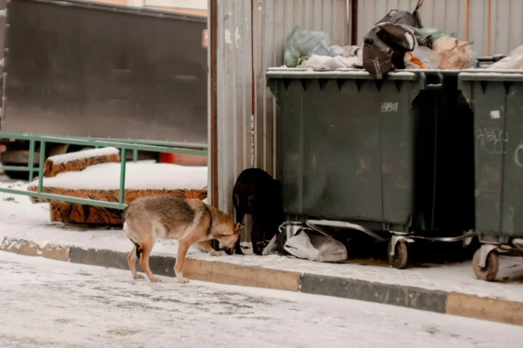 DdJ__lUtdAM.jpg DdJ__lUtdAM.jpg